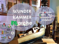 Mostra "Wunderkammer Marche"